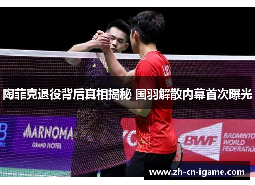 陶菲克退役背后真相揭秘 国羽解散内幕首次曝光
