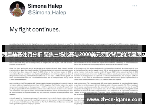 魏震禁赛处罚分析 聚焦三场比赛与2000美元罚款背后的深层原因